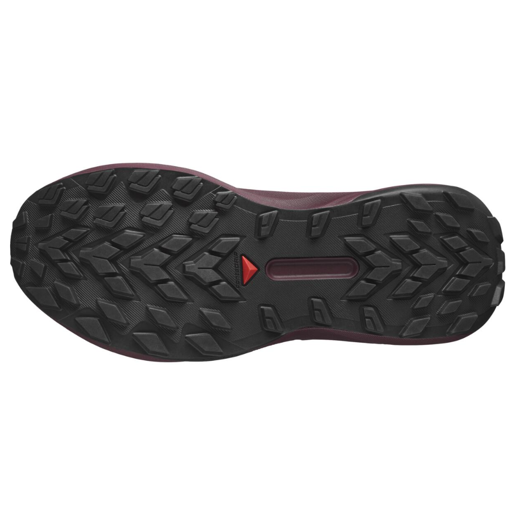 SALOMON GENESIS GORE-TEX | L47588900 | The Run Hub